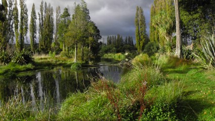 Pohangina Wetlands - VueScan Review